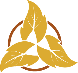 logo-emilie-vert-transparent